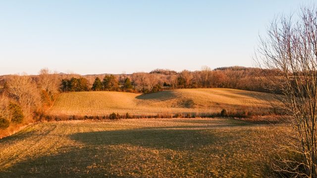 1393 Jones Chapel Rd, Byrdstown, TN 38549