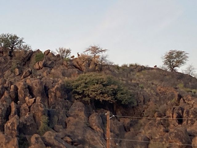 819 Webster, Fort Davis, TX 79734