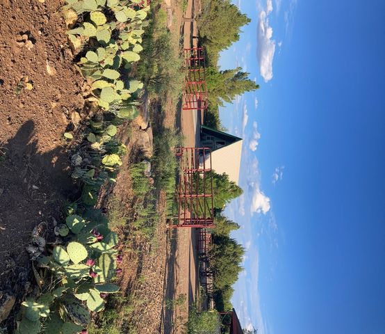 819 Webster, Fort Davis, TX 79734