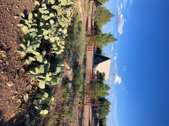 819 Webster, Fort Davis, TX 79734