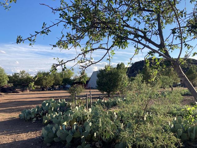 819 Webster, Fort Davis, TX 79734