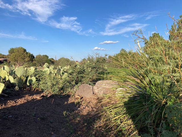 819 Webster, Fort Davis, TX 79734