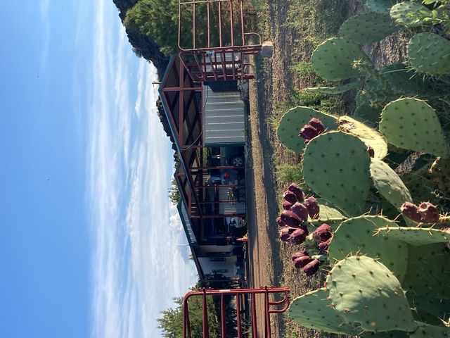 819 Webster, Fort Davis, TX 79734