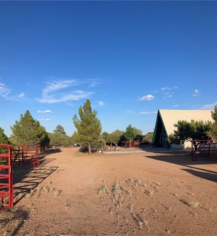 819 Webster, Fort Davis, TX 79734