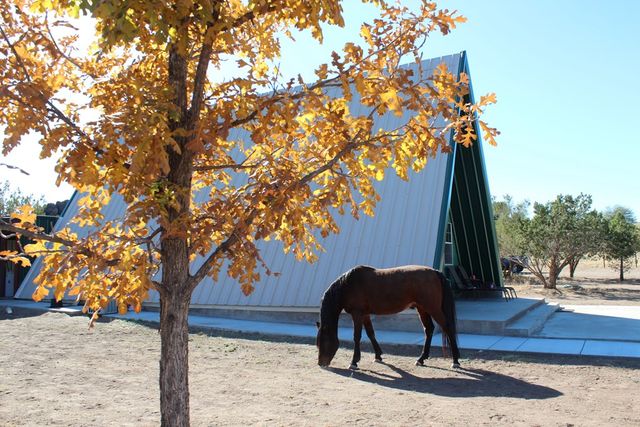 819 Webster, Fort Davis, TX 79734