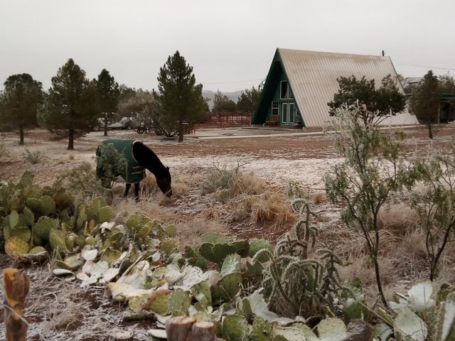 819 Webster, Fort Davis, TX 79734