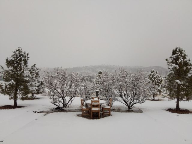 819 Webster, Fort Davis, TX 79734