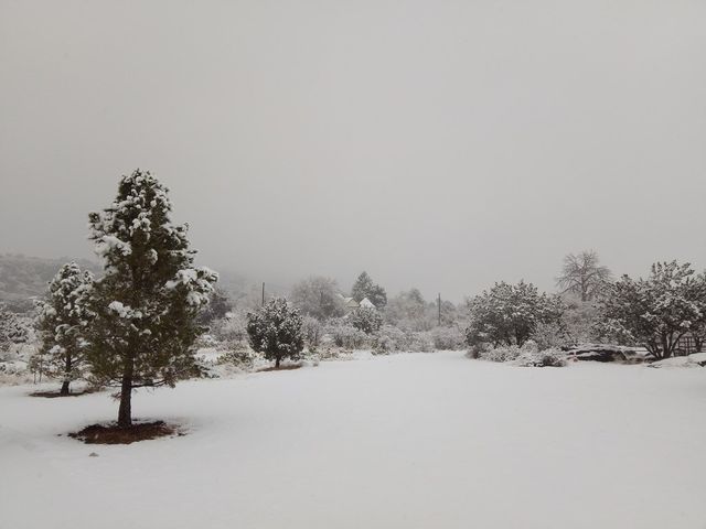 819 Webster, Fort Davis, TX 79734