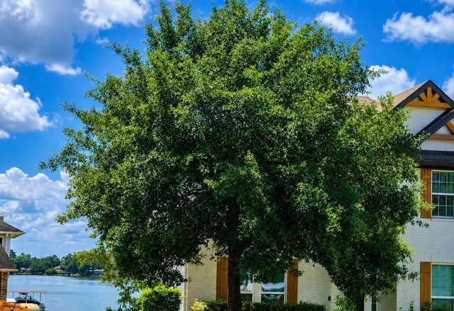 12367 Pebble View Drive, Conroe, TX 77304