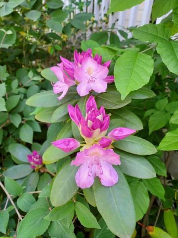 100 Westwood Street, Hillsdale City, MI 49242