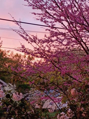 100 Westwood Street, Hillsdale City, MI 49242