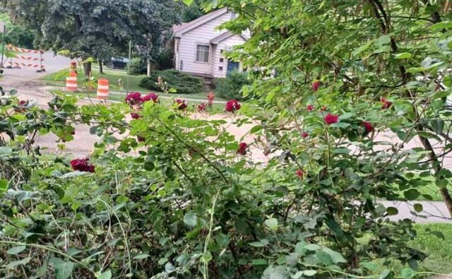 100 Westwood Street, Hillsdale City, MI 49242