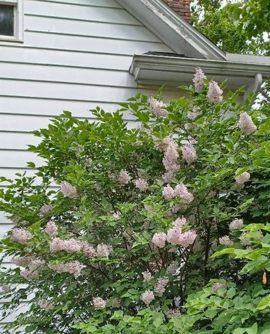 100 Westwood Street, Hillsdale City, MI 49242