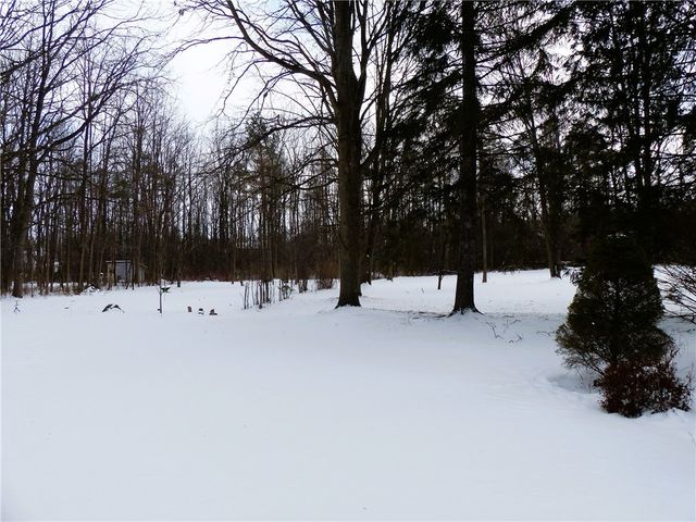 233 West Gibson Street, Canandaigua City, NY 14424