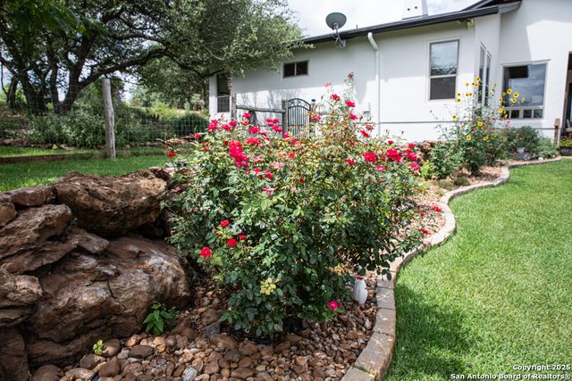 1636 Blush, New Braunfels, TX 78132