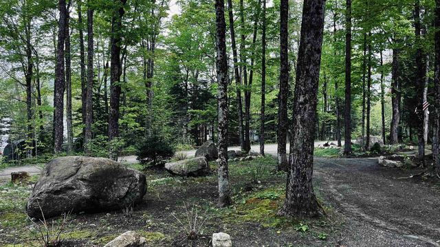 27 Birch Point S, Morgan, VT 05853