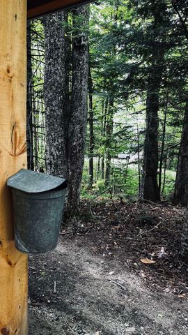 27 Birch Point S, Morgan, VT 05853