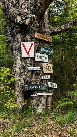 27 Birch Point S, Morgan, VT 05853