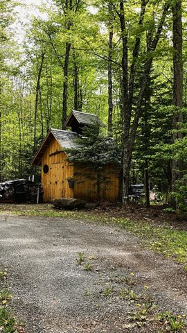 27 Birch Point S, Morgan, VT 05853