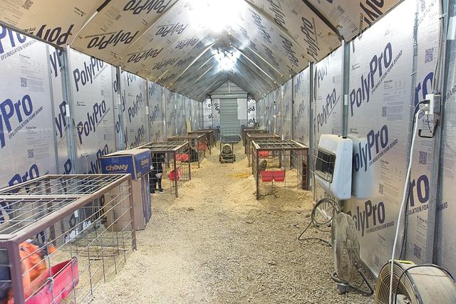 20407 Thunder Ridge Road, Eminence, MO 65466