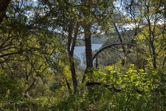 15805 Uvas Road, Morgan Hill, CA 95037