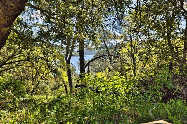 15805 Uvas Road, Morgan Hill, CA 95037