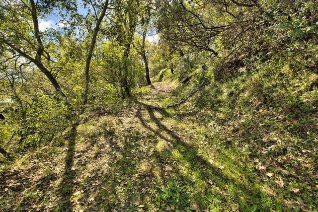15805 Uvas Road, Morgan Hill, CA 95037