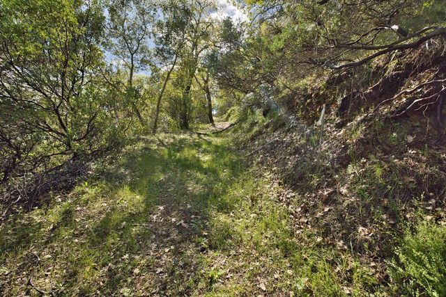 15805 Uvas Road, Morgan Hill, CA 95037