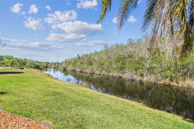 19530 BARRIE ACRES TRAIL, Odessa, FL 33556