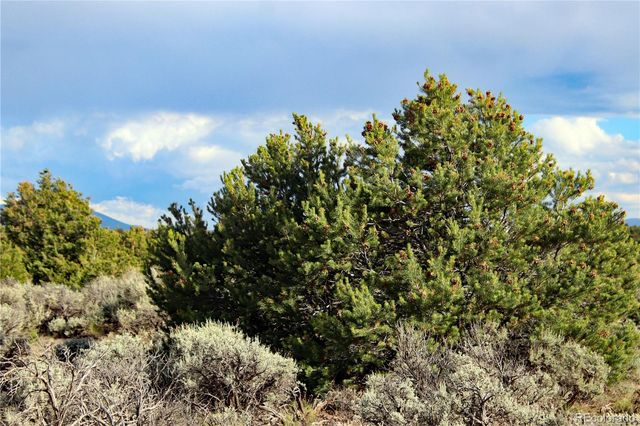 Parcel 5 N Canyon Road, San Luis, CO 81152