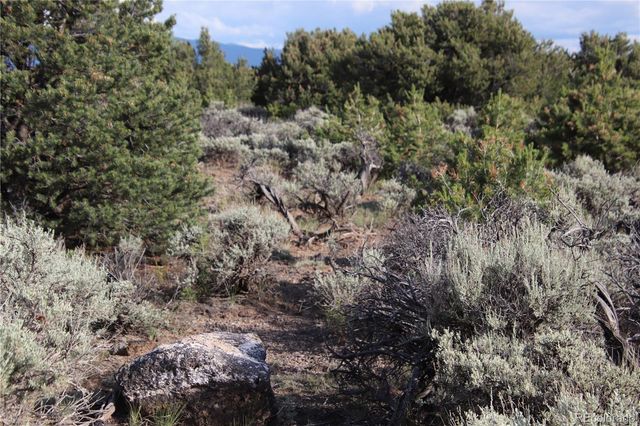 Parcel 5 N Canyon Road, San Luis, CO 81152