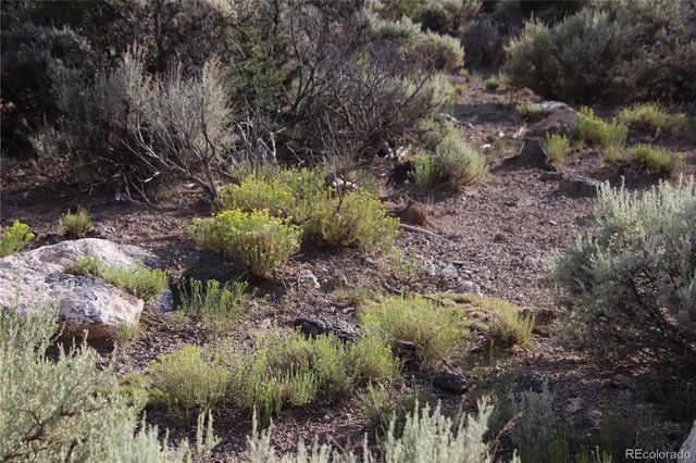 Parcel 5 N Canyon Road, San Luis, CO 81152