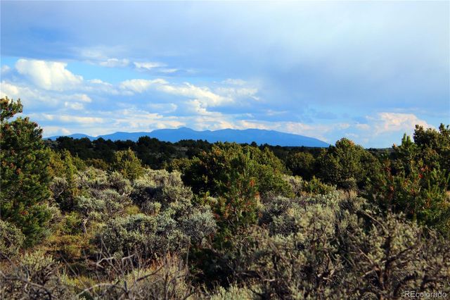Parcel 5 N Canyon Road, San Luis, CO 81152