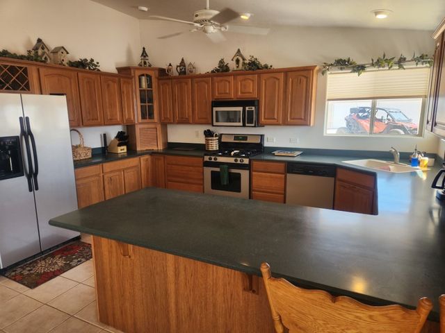1180 E Bradley Bay Drive, Meadview, AZ 86444