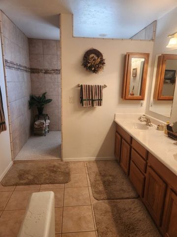1180 E Bradley Bay Drive, Meadview, AZ 86444