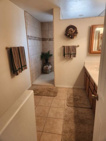 1180 E Bradley Bay Drive, Meadview, AZ 86444