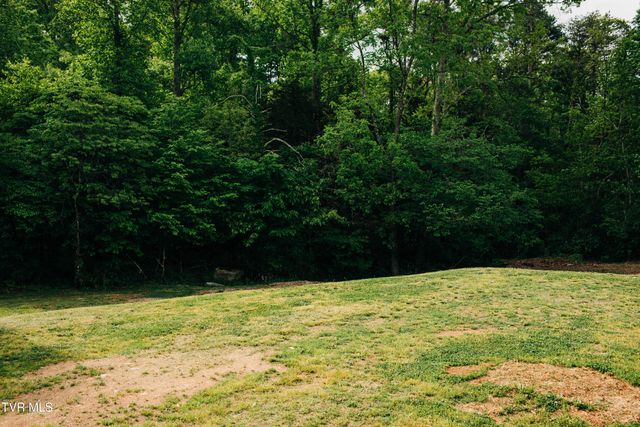 613 Timber Ridge Road, Bluff City, TN 37618