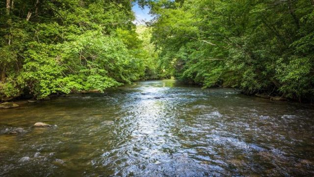 44 Magnolia Trail, Mccaysville, GA 30555