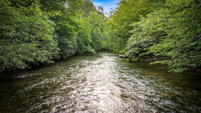 44 Magnolia Trail, Mccaysville, GA 30555