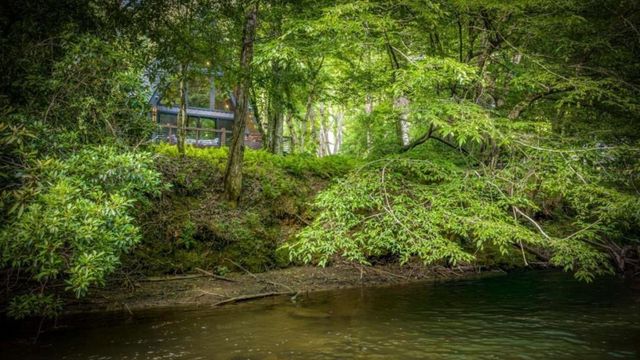 44 Magnolia Trail, Mccaysville, GA 30555