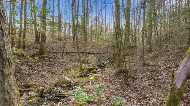 1908 Clear Brooks Drive, Signal Mountain, TN 37377