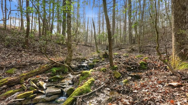 1908 Clear Brooks Drive, Signal Mountain, TN 37377