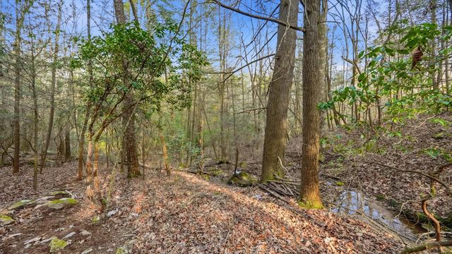 1908 Clear Brooks Drive, Signal Mountain, TN 37377