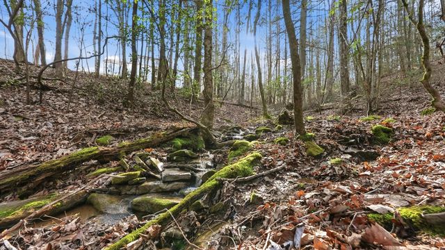 1908 Clear Brooks Drive, Signal Mountain, TN 37377