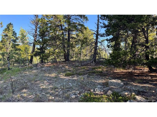 1 Peak View Dr, Black Hawk, CO 80422