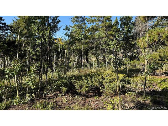 1 Peak View Dr, Black Hawk, CO 80422
