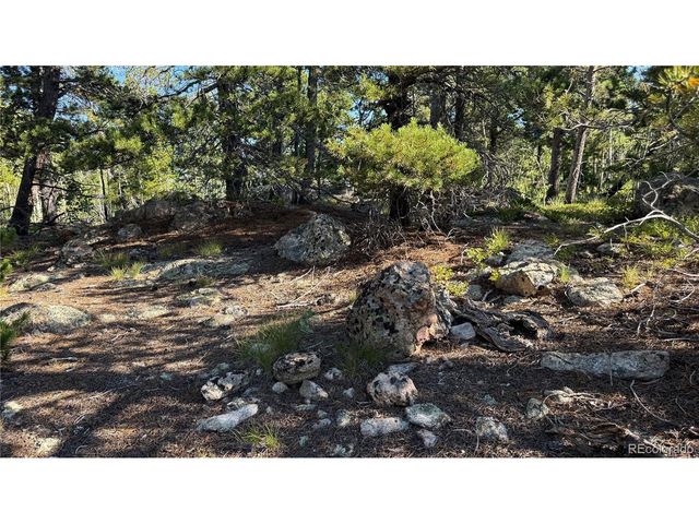 1 Peak View Dr, Black Hawk, CO 80422
