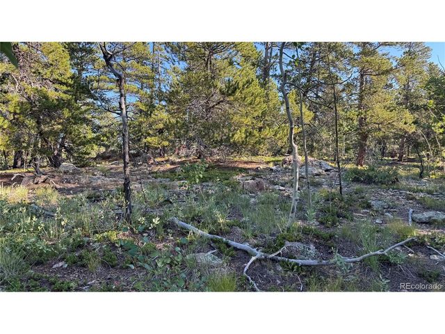 1 Peak View Dr, Black Hawk, CO 80422