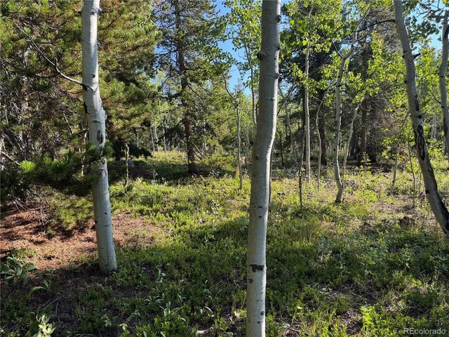 1 Peak View Dr, Black Hawk, CO 80422
