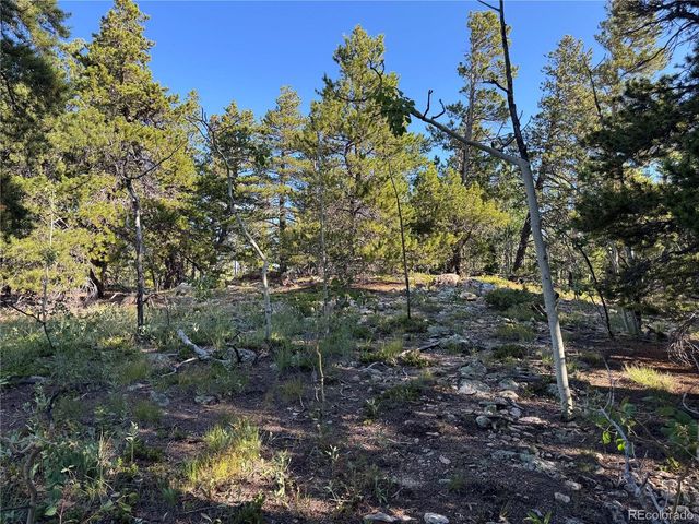 1 Peak View Dr, Black Hawk, CO 80422